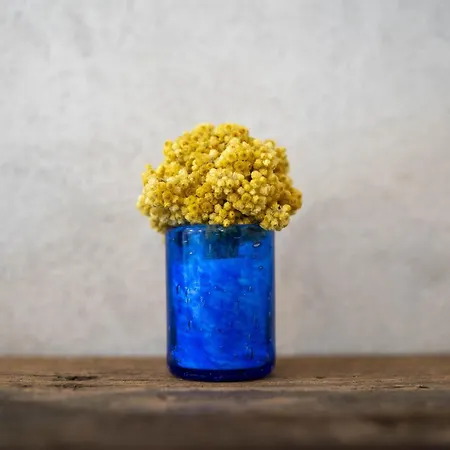 Maison - Le Petit Bussac